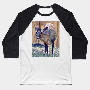 Reeve's Muntjac Baseball T-Shirt